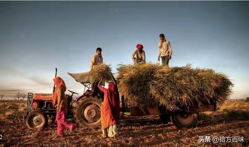 印度春耕缺化肥的事处理不好就不仅仅是粮食欠收的问题，很有可能会出现中国历史上王朝