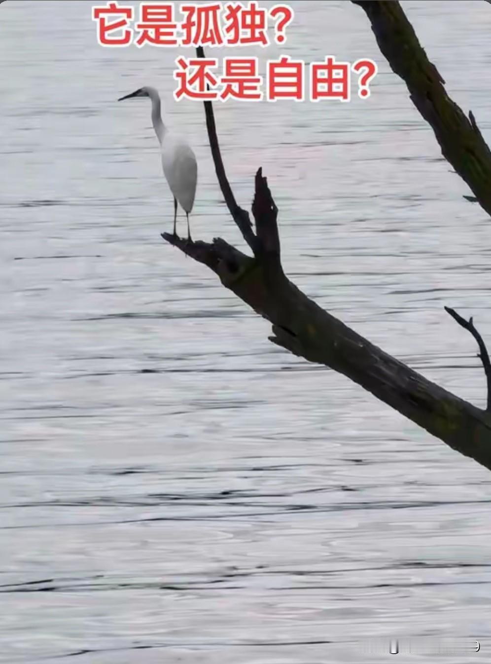 世事古难全

数学：加减乘除算不出富贵吉祥；

语文：横竖撇捺道不尽世事沧桑；