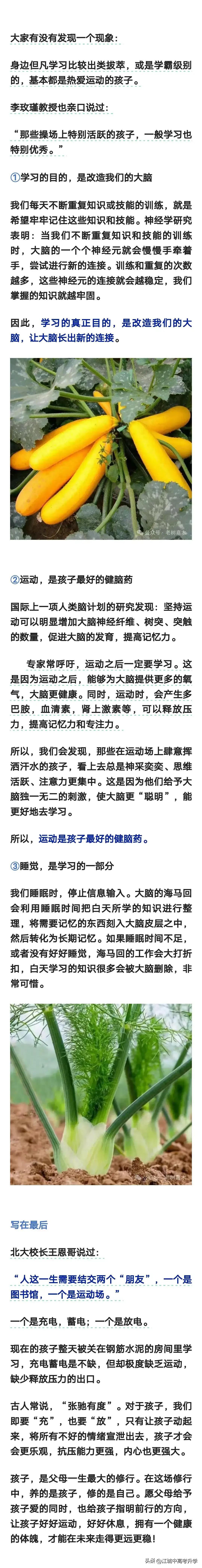 除了学习，当下最应该培养的就是运动能力！
当娃不想学习就带他去运动吧！
运动可以