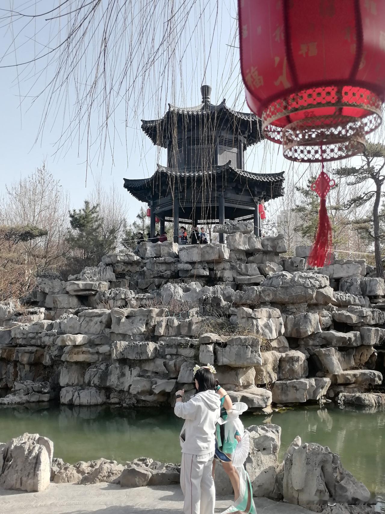 随手拍下公园的景色石山亭宇，静谥美好。初五风光，红灯柳枝。