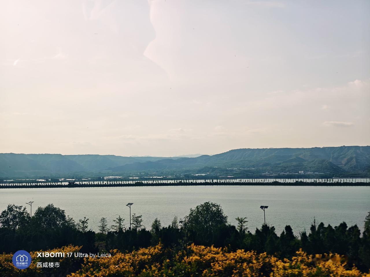 著名的河南三门峡天鹅湖！