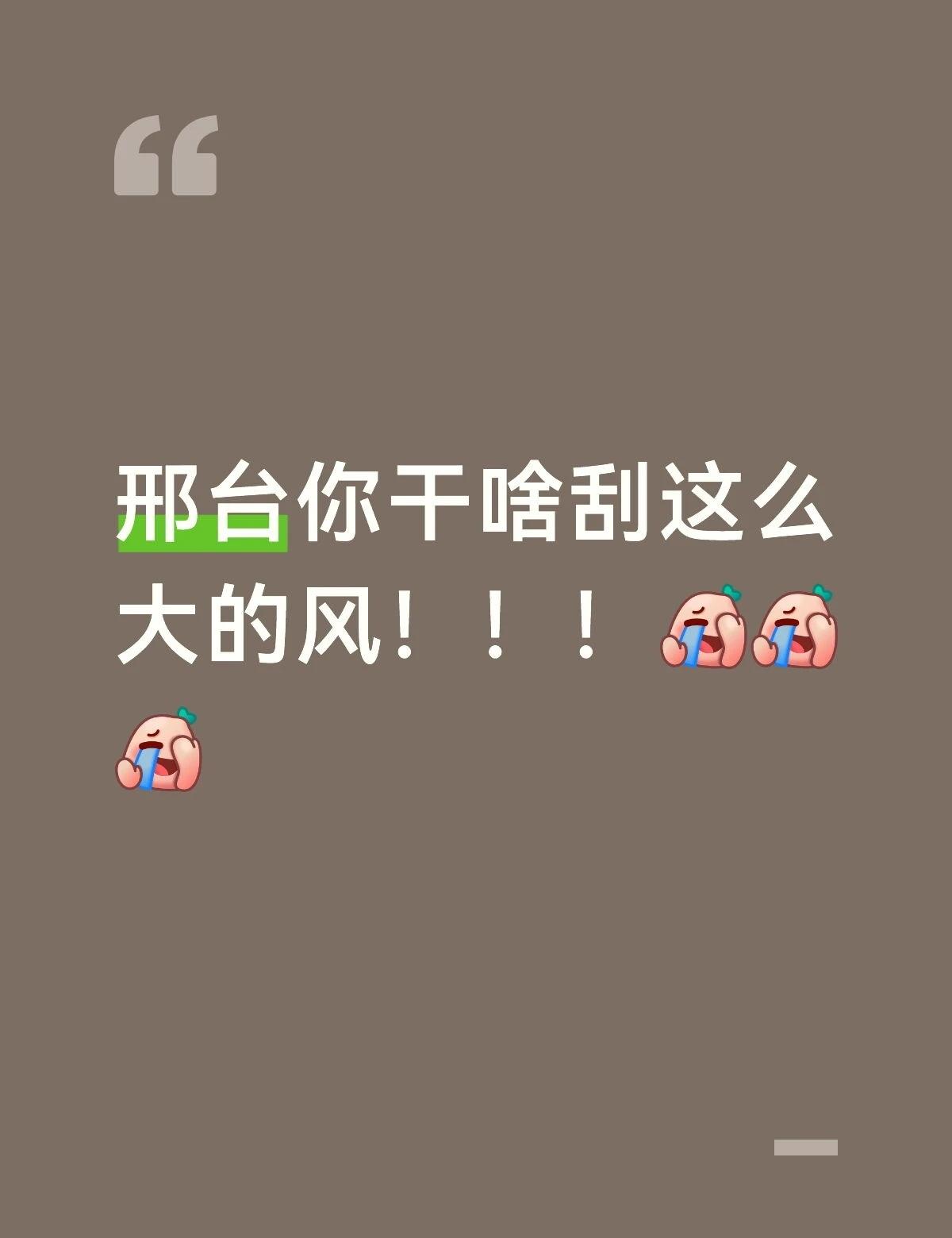 邢台风好大