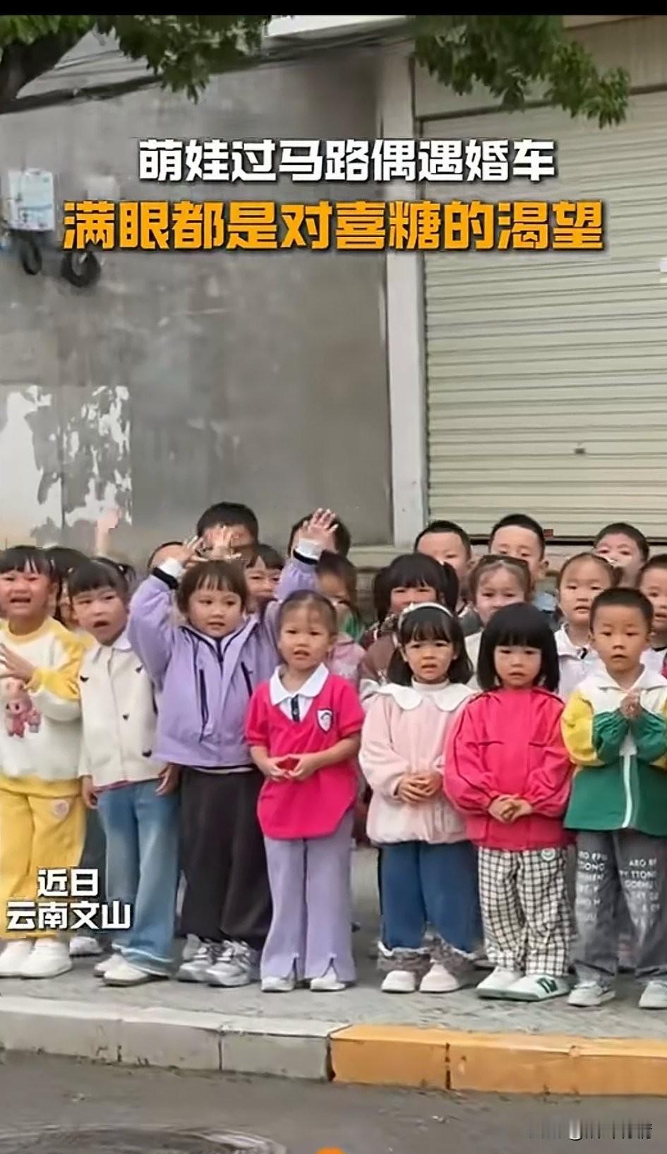 近日云南文山一群萌娃火了，
幼儿园老师带着一群小朋友出行，
马路上看到了婚车，
