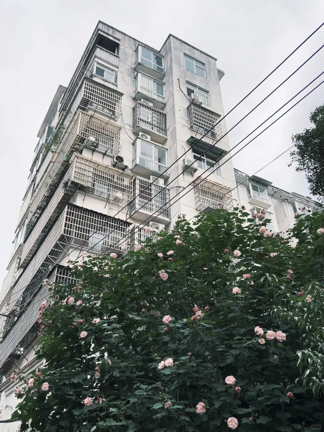 分享秋天🍂