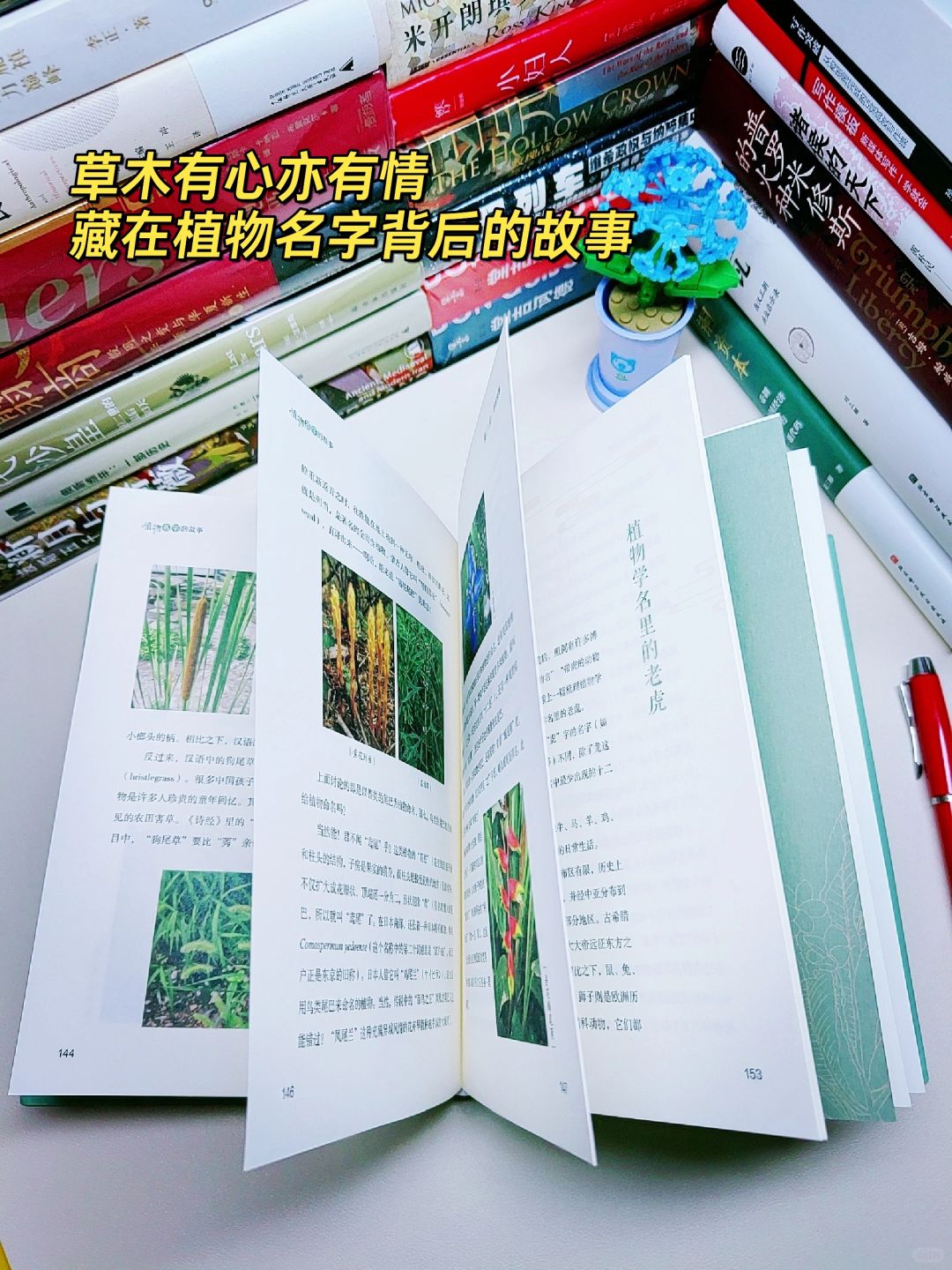 那些美了千年的植物，谁为它们冠名？