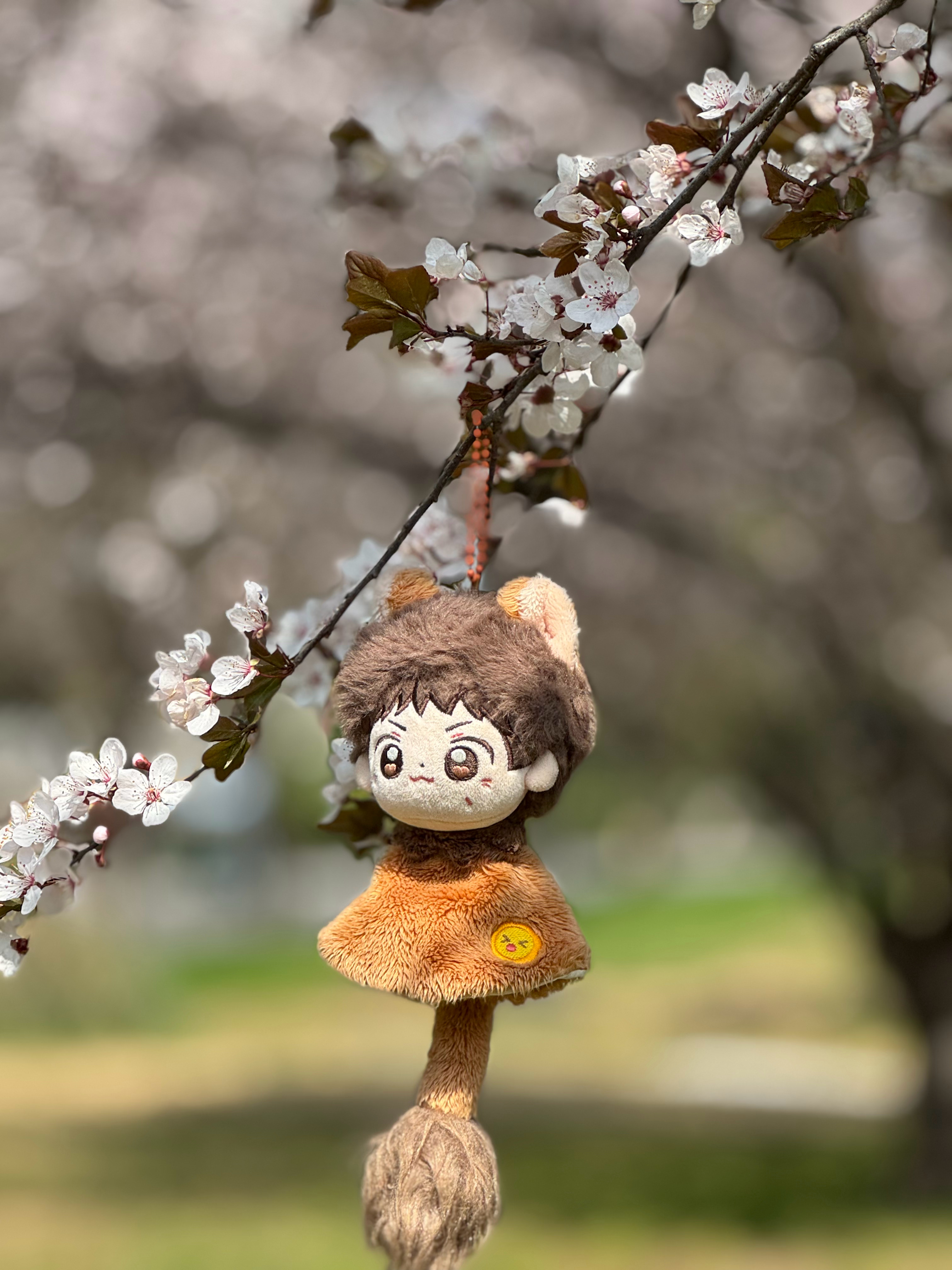 三井寿  🔥花与三井寿 