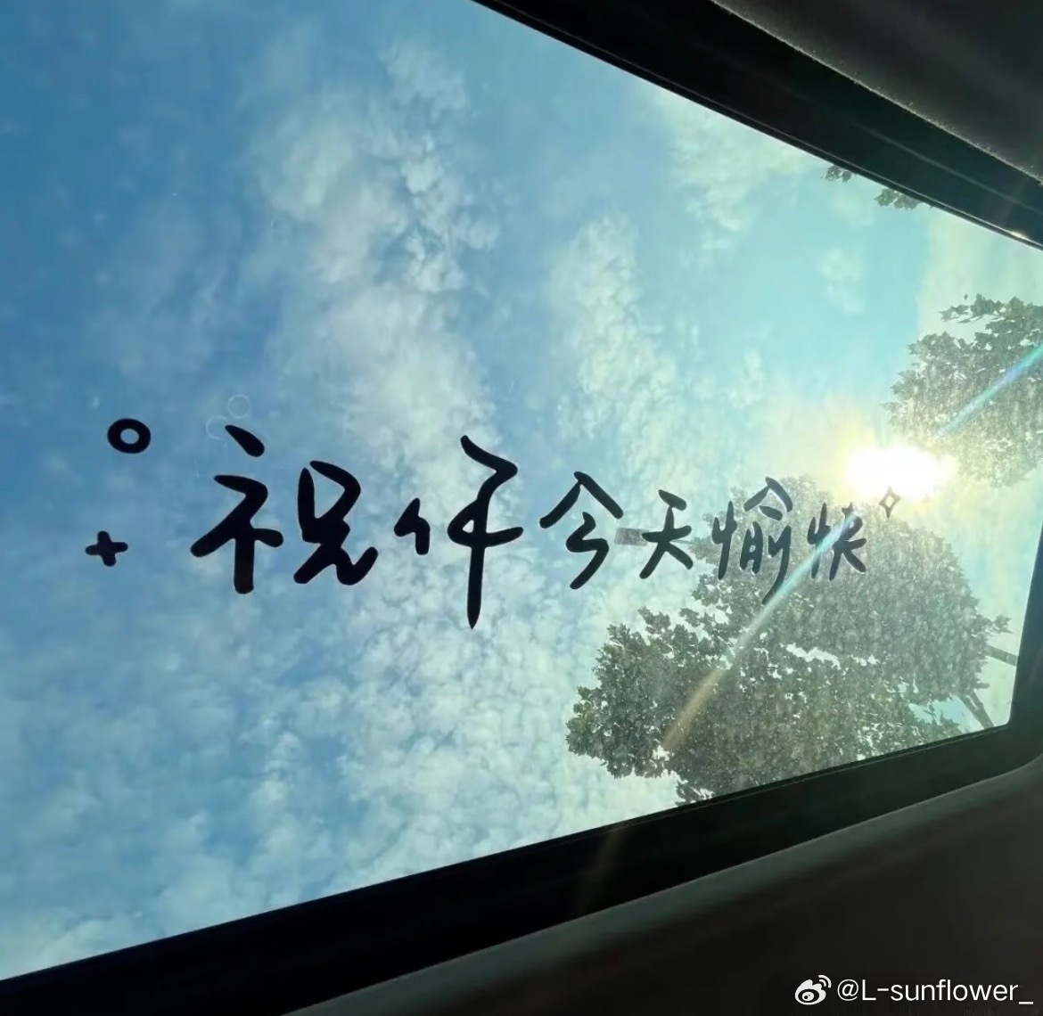 没有动态的日子。都在认真生活，常发动态的日子。都在热爱生活。早安🌞周末愉快。 