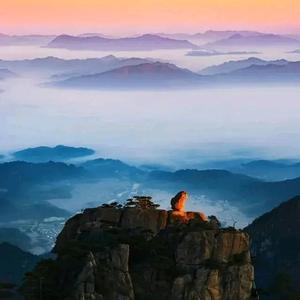 敏锐精灵爱生活