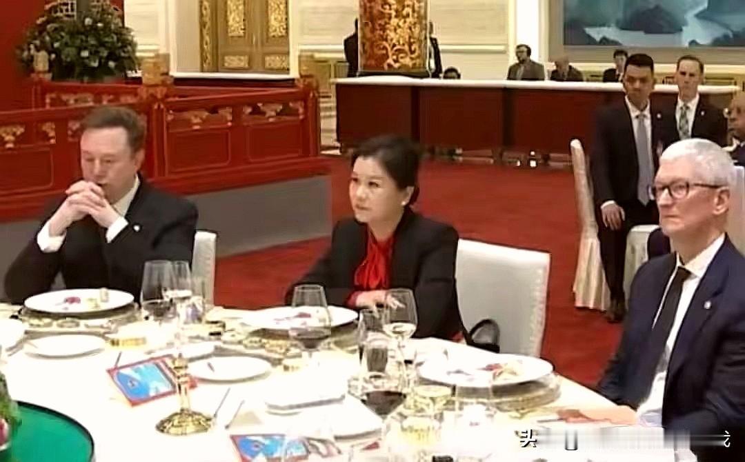 坐在马斯克和库克中间，这位湖南女人到底什么来头？

照片里坐在马斯克和库克中间的