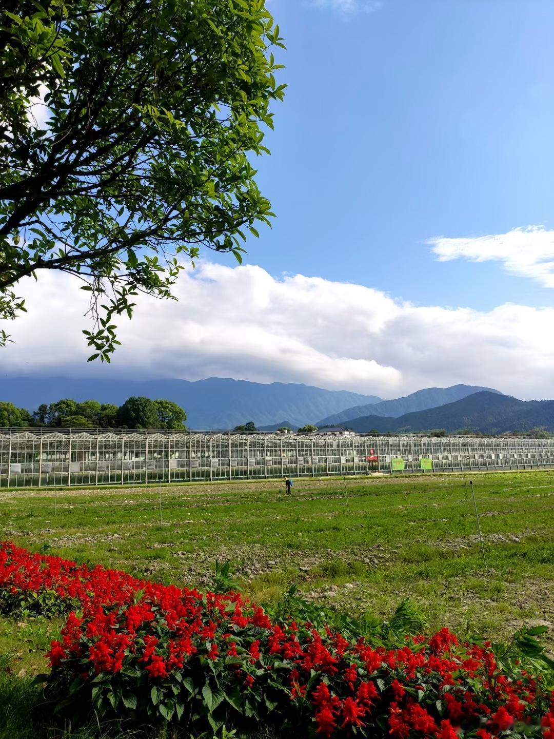 #萍乡正青春# 花涧里研学基地坐落于国家5A级景区武功山山脚下，距离游客服务中心