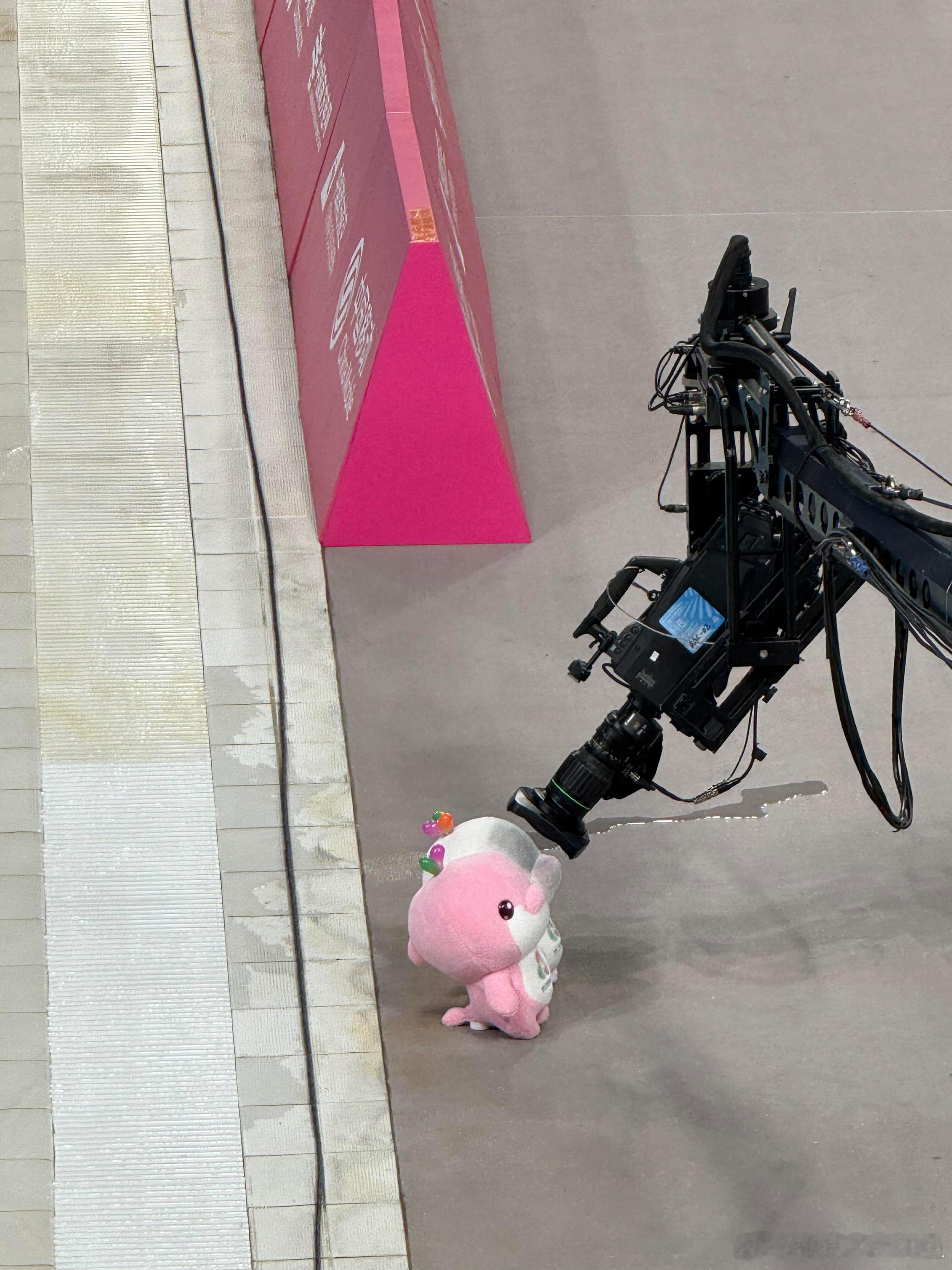 大湾鸡:你不要过来啊～ 