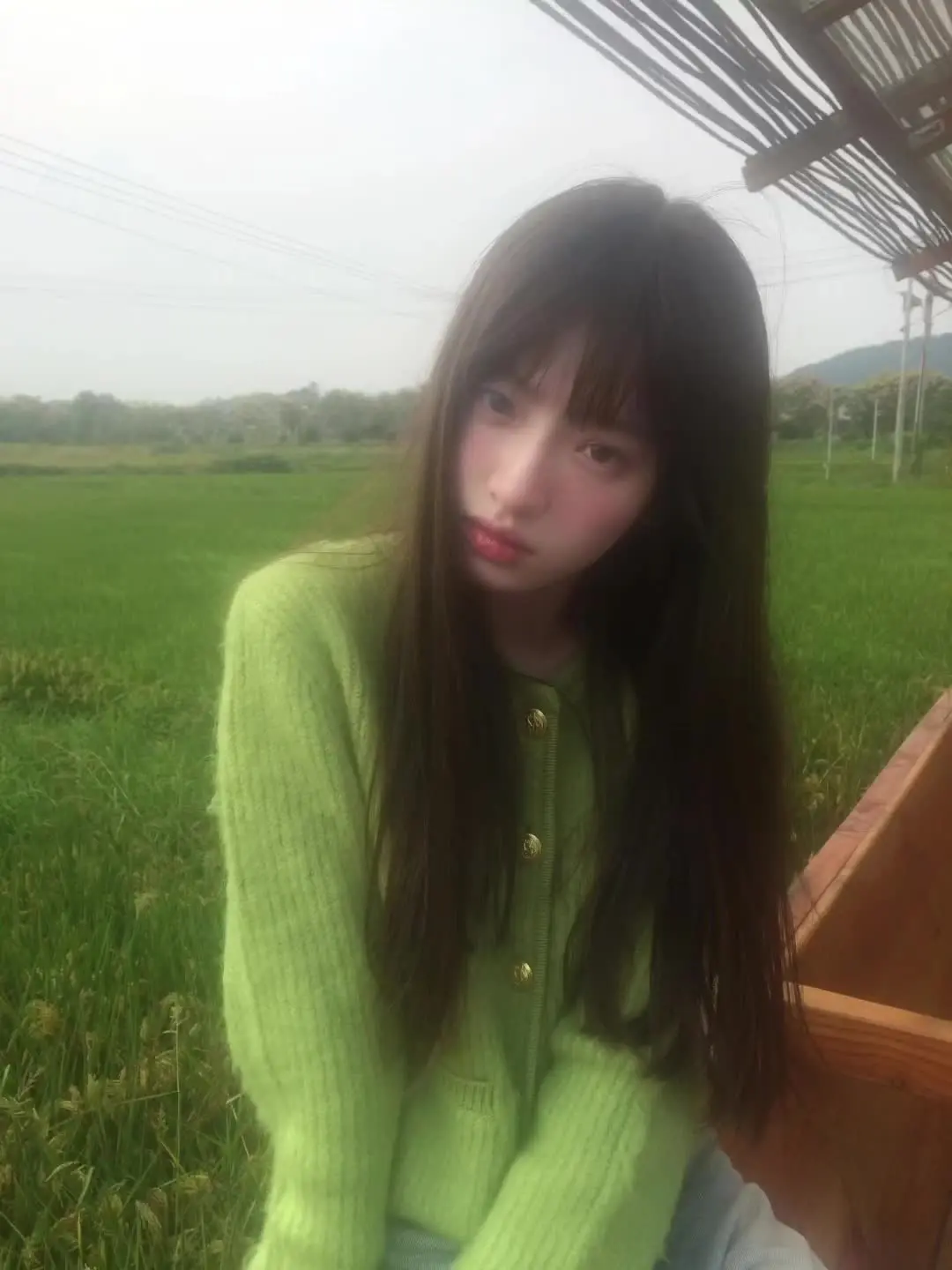 我不会去市里 你也不必来村里兑现喂鸡的承诺