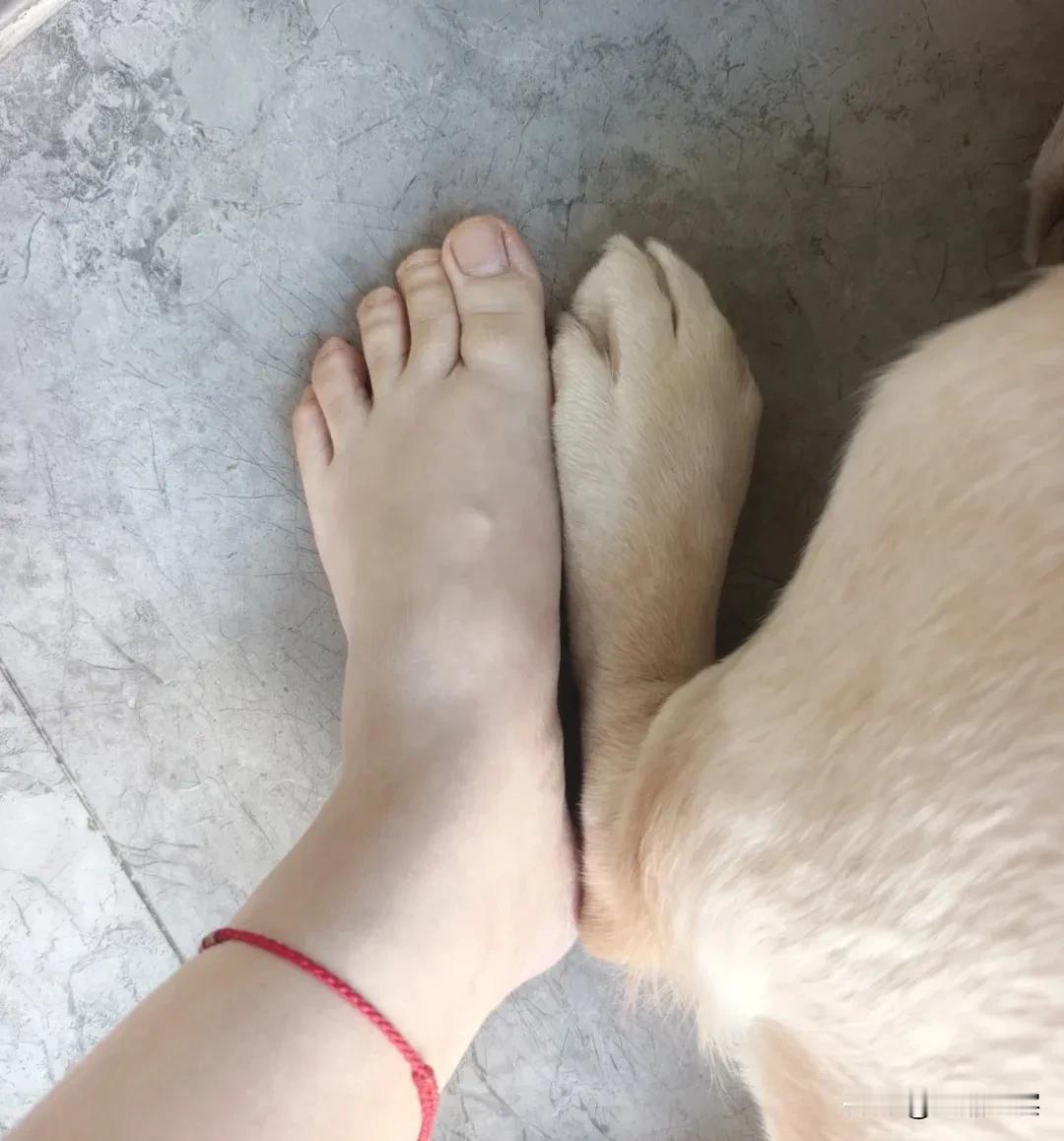 活佛济公给你安的吧？[泣不成声]