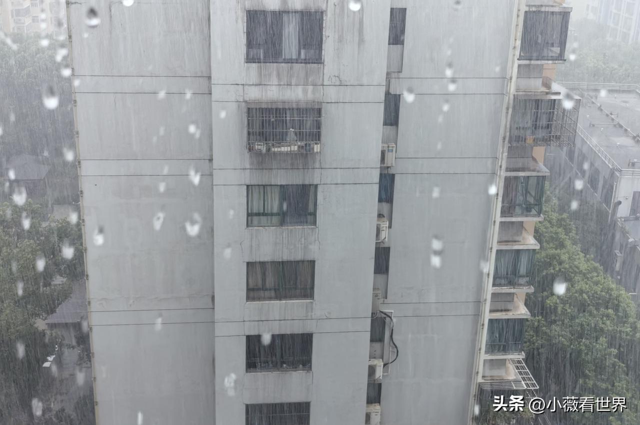 倾盆大雨呀，这回“白海豚”是来真格的了！

大风震得窗户都轰轰的响，暴雨如注，已
