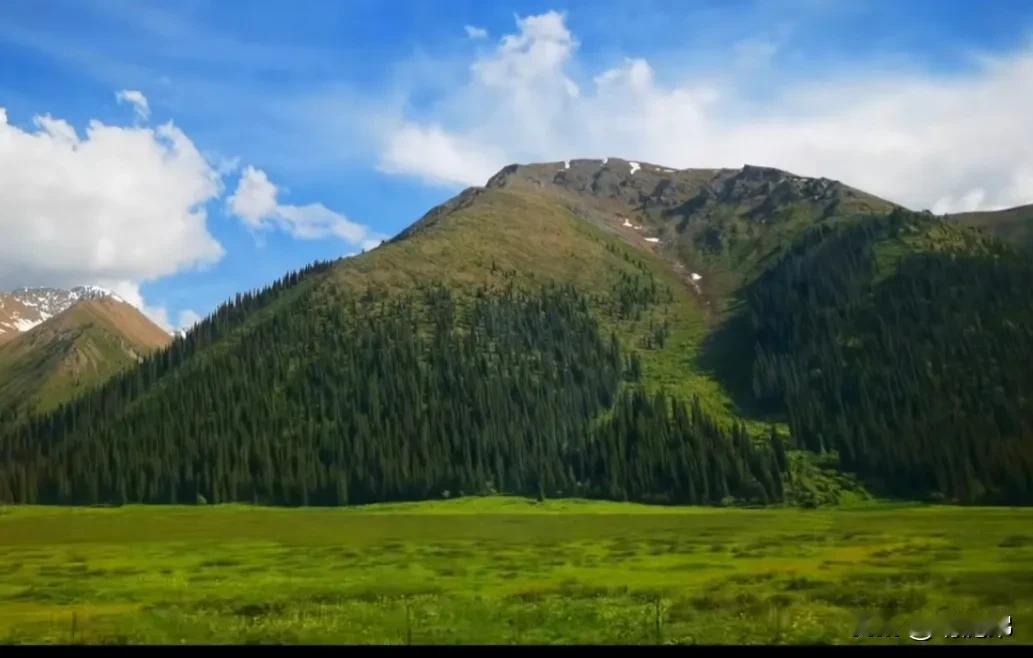 探索大自然的壮丽与宁静，感受高山草甸的清新气息。🍃🏔️在壮美的草原上 风景在