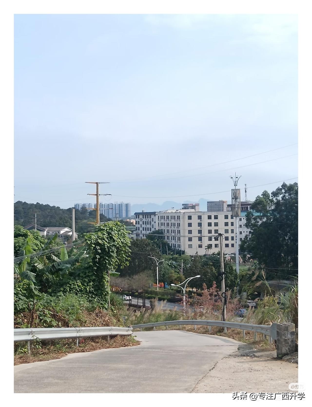 清爽的早晨，看着很美！
