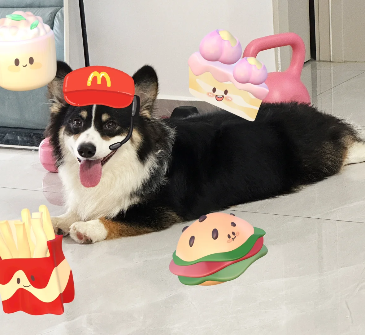 今天是麦当狗