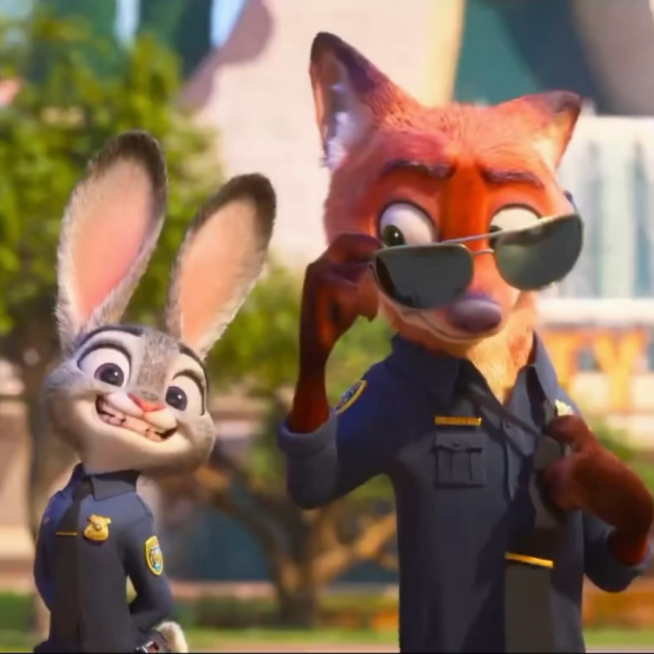 尼克朱迪 表白是搭档还是爱人我自有定夺🦊🐰 