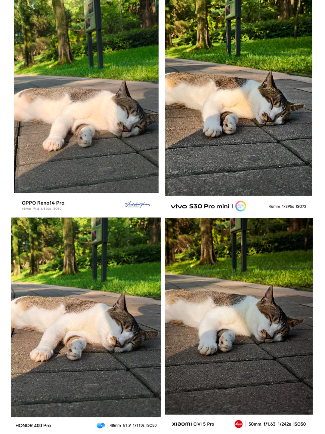 谁是喵喵星球出色拍照手机？4款轻薄机对决