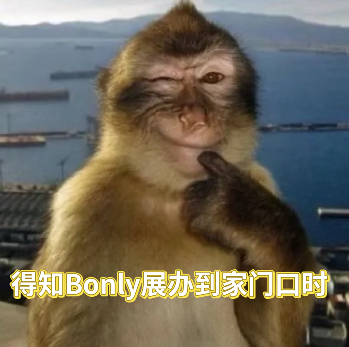 同人女一觉醒来天亮了一次官宣百场only展什么体验 去过展的都懂，主办拉场地搞宣