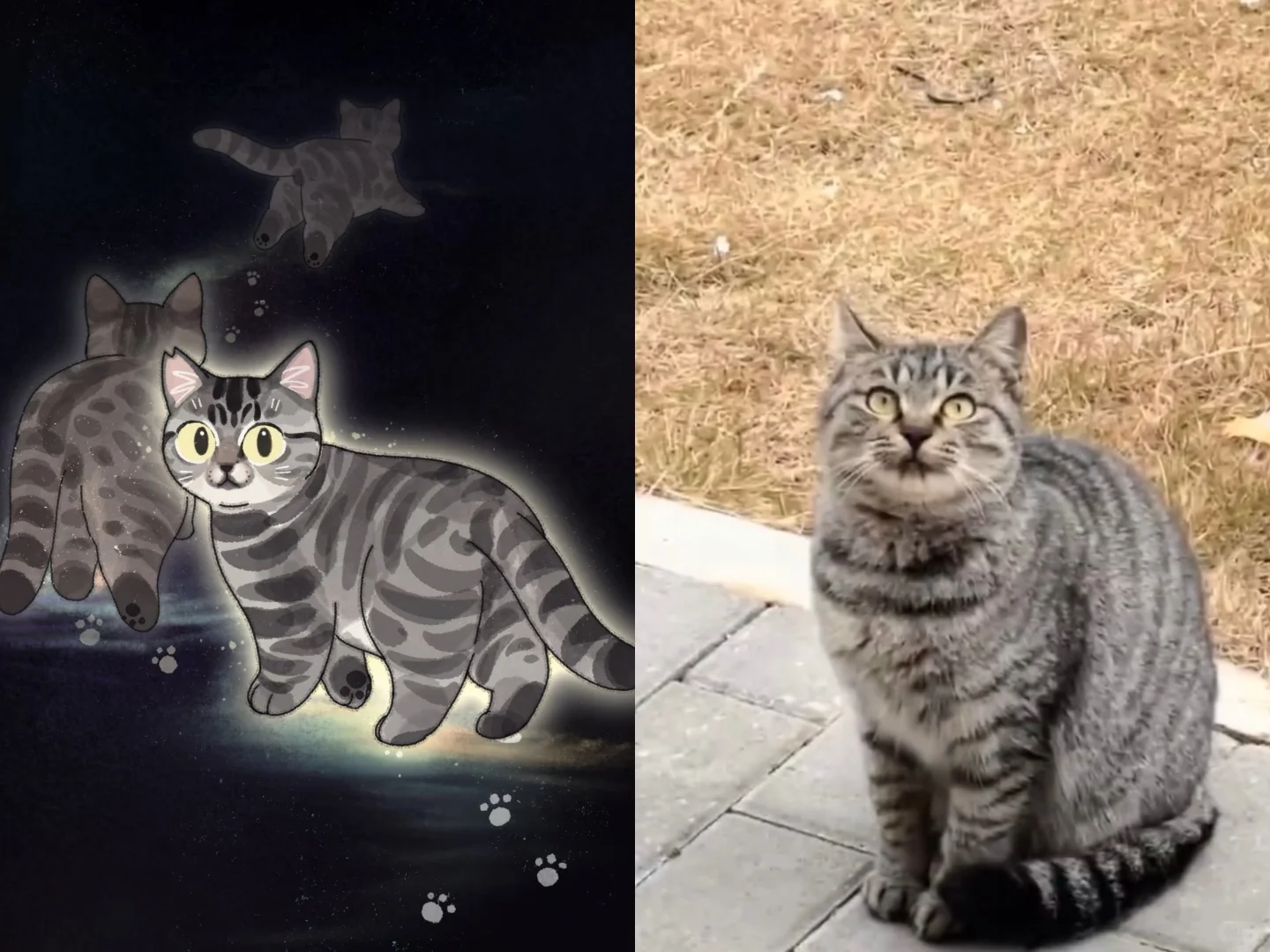 可以不爱 停止伤害🙅