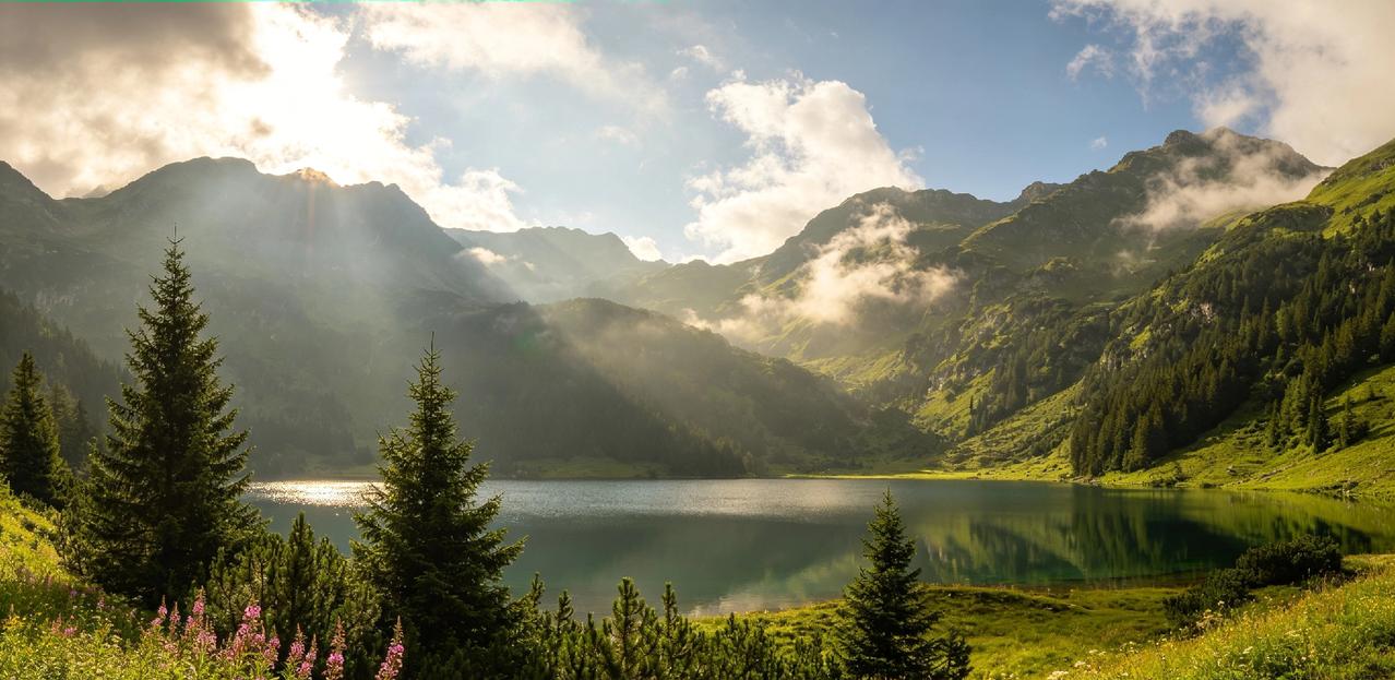 分享一张自然风景的照片