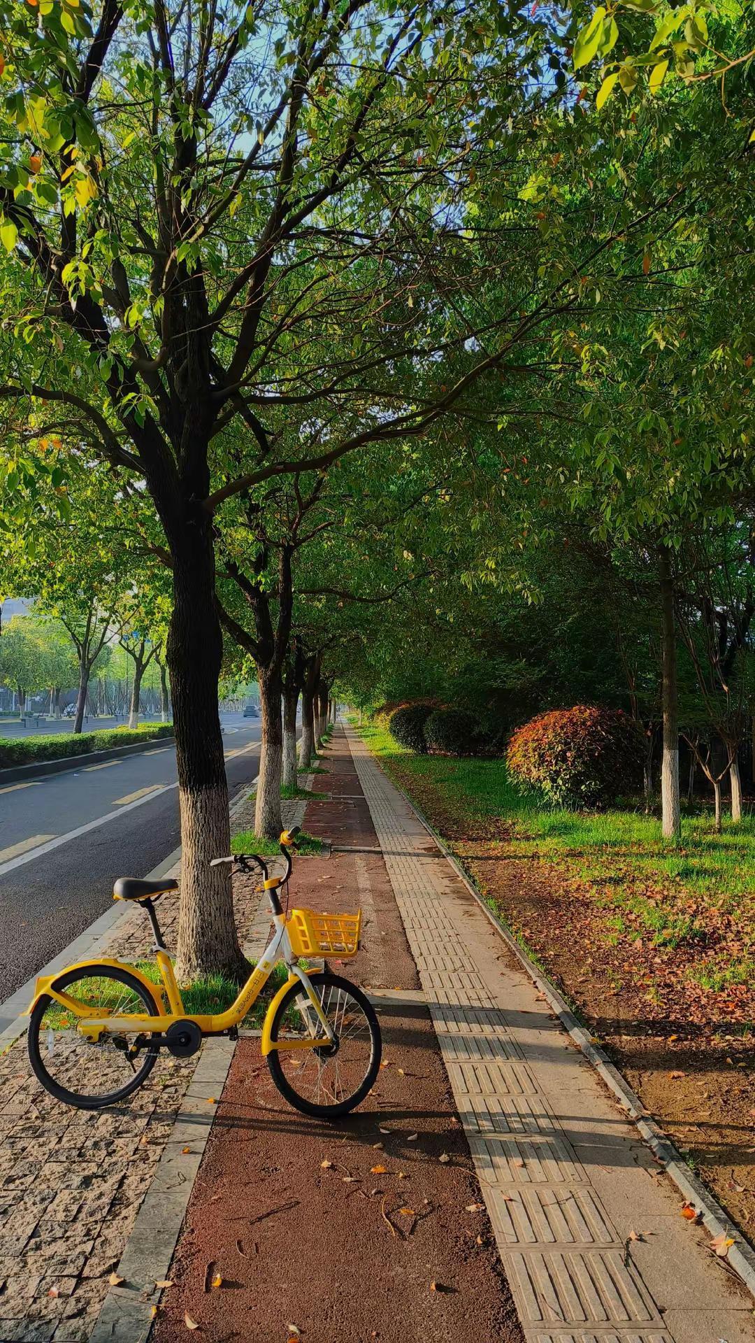 成功的路上没有人会叫你起床也没有人为你买单