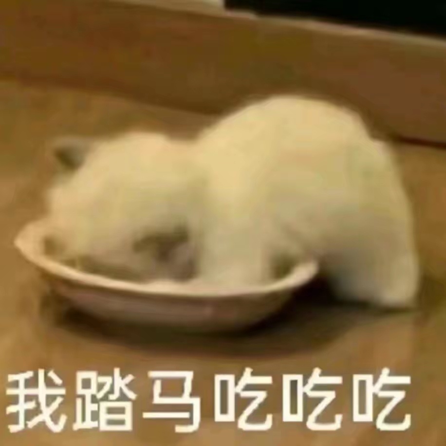 啊啊啊啊啊啊kswl有点素你怎么这么会写 