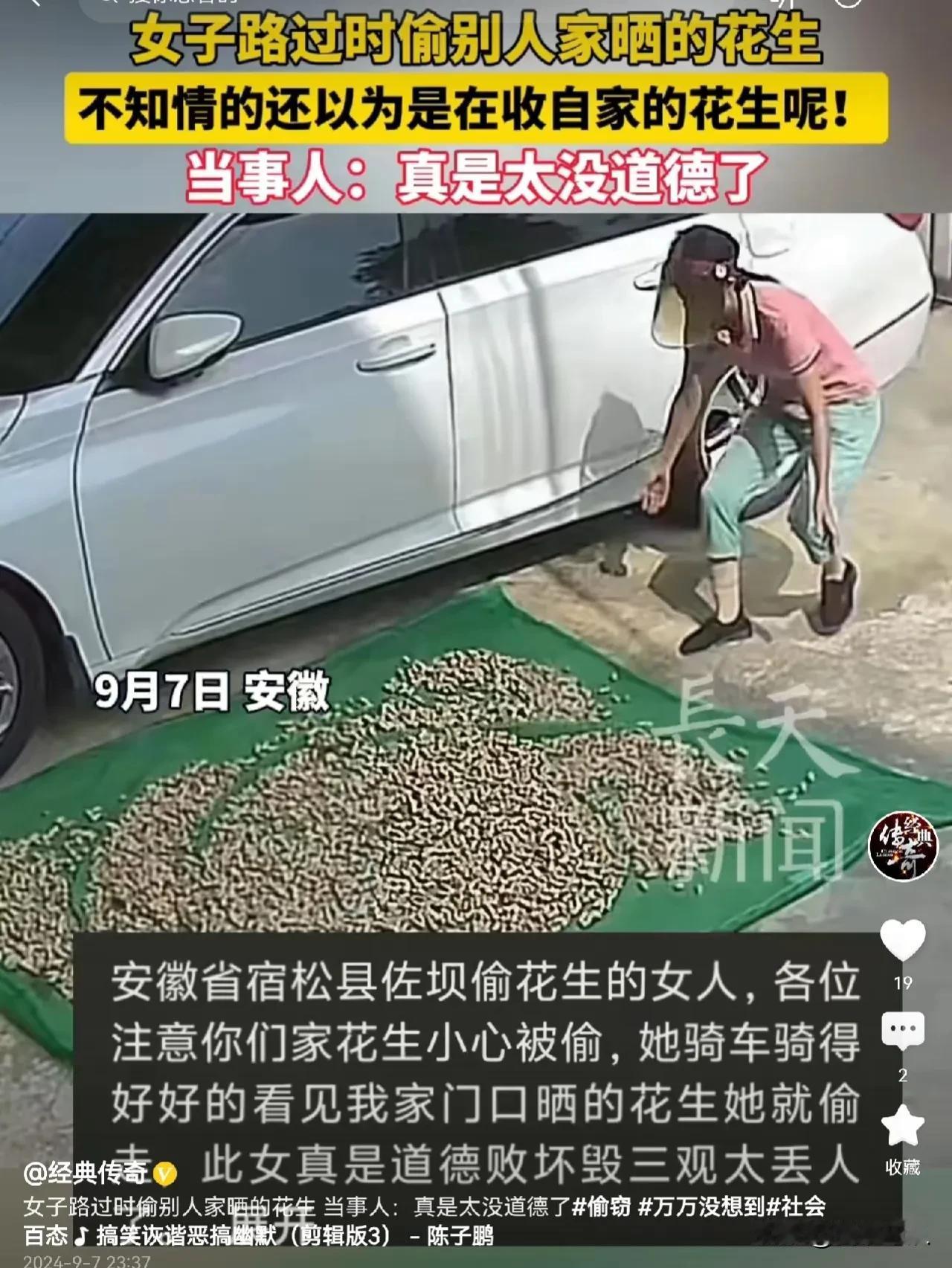 这女子太丢人了，她骑车从这里路过，看到人家院子里晒的花生。她就停下车来到院子里，
