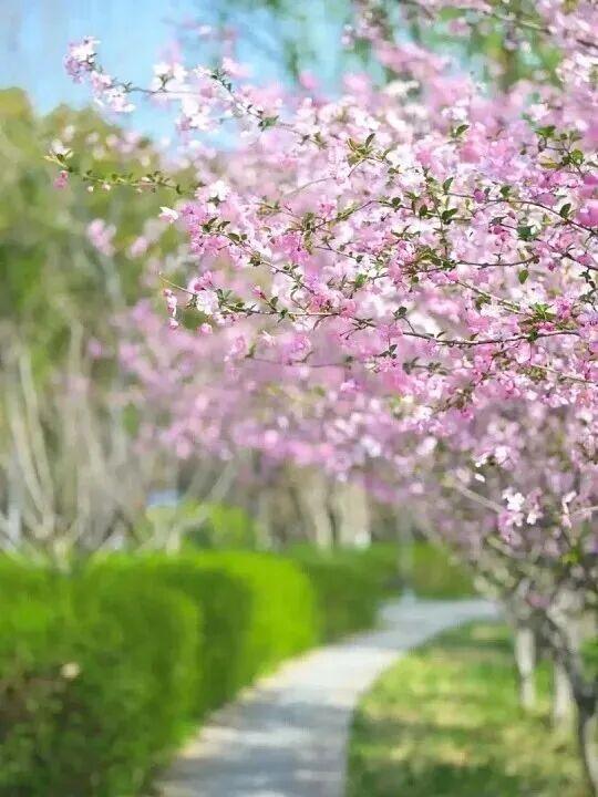 苏州园区住房以旧换新！最高可抵70%！


最近苏州工业园区出了个好消息，咱们老