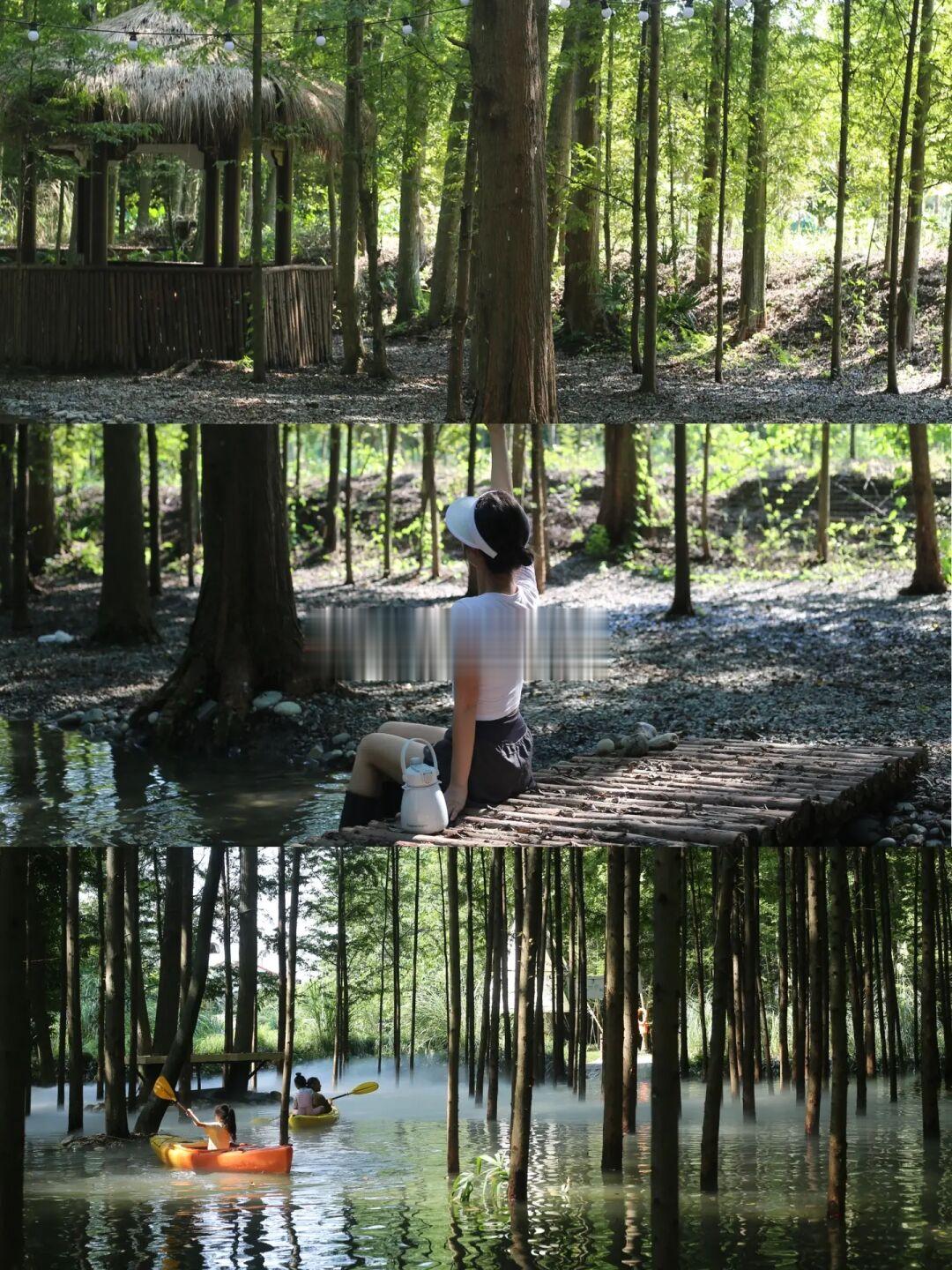 成都新‼️巨凉快‼️溪边森林露营耍水💦遛娃