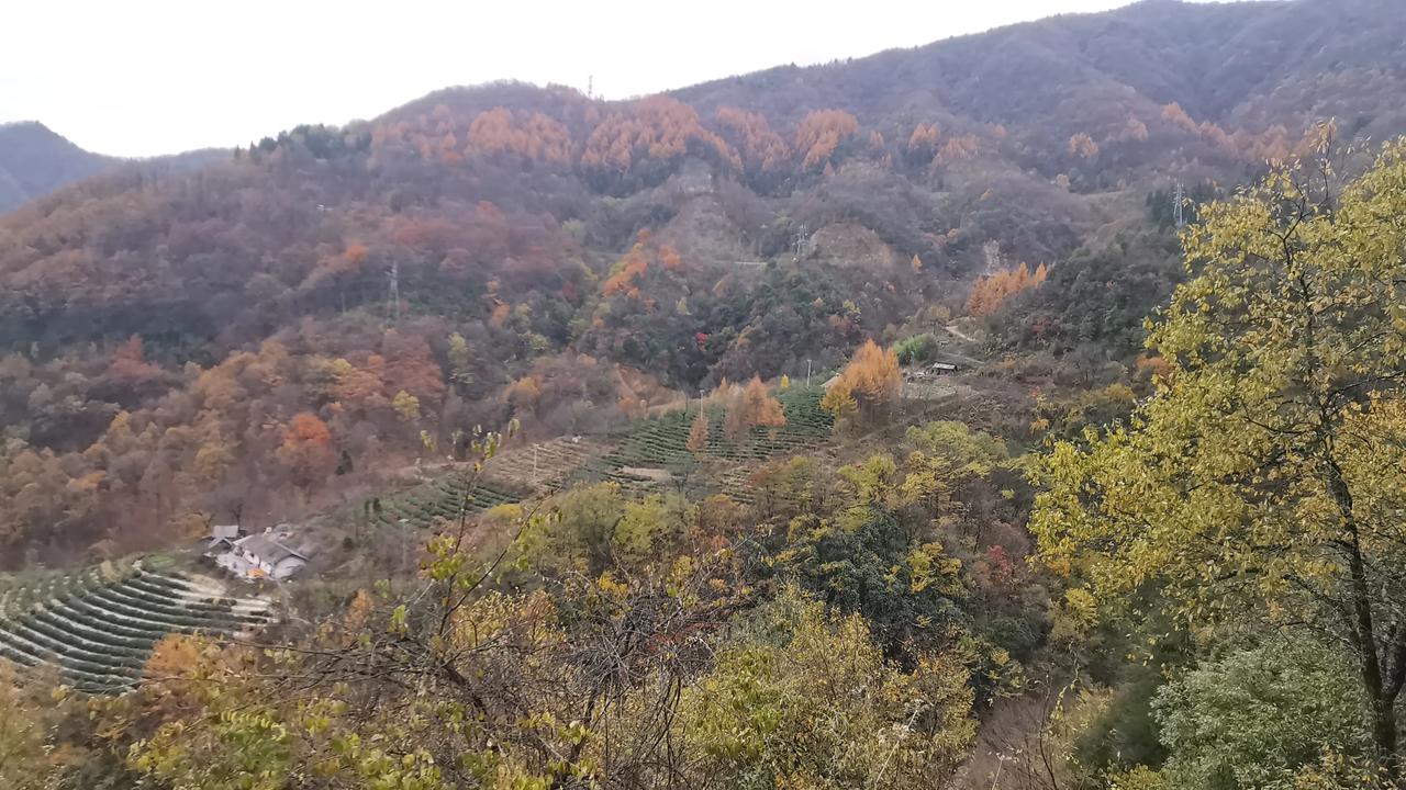 神龙架秋色溯江而上沿长江大堤由芜湖骑行至岳阳至石首（至武汉西进去岳阳， 岁月游记