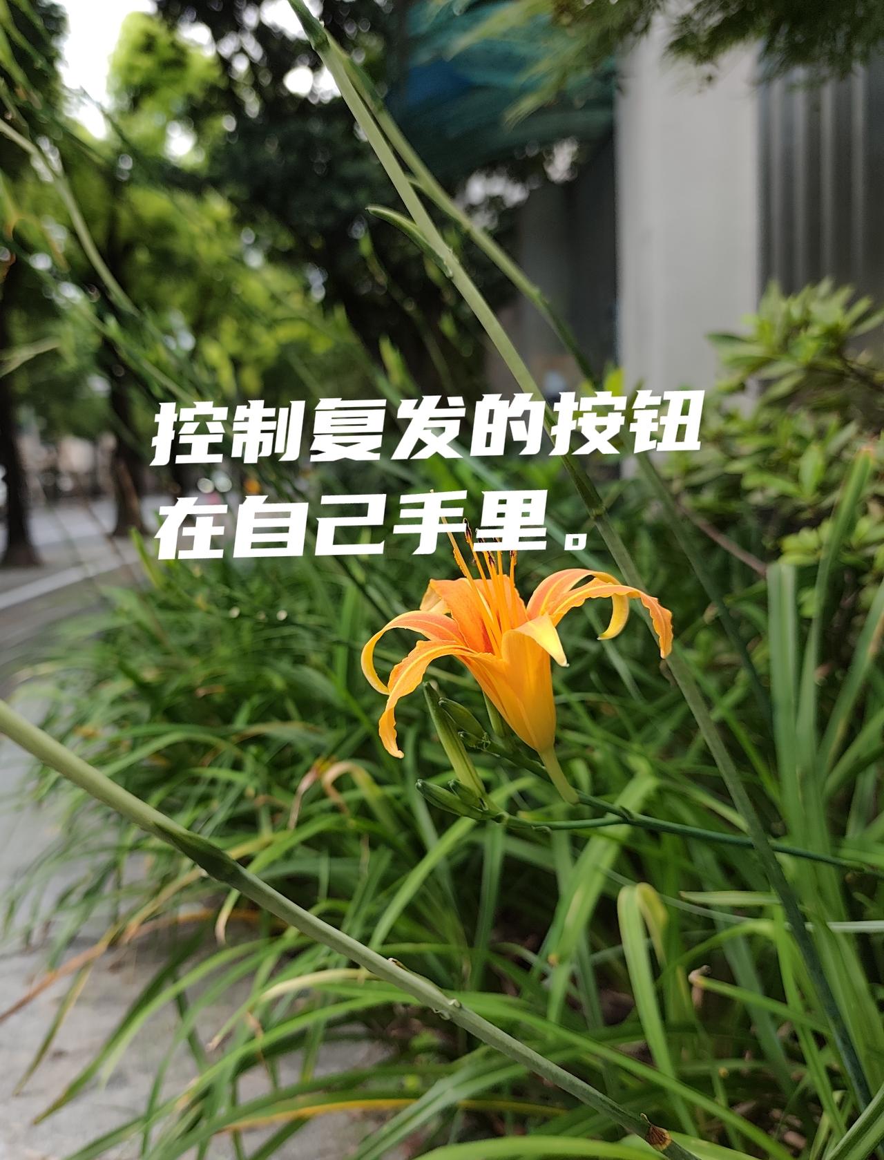 我也是晚期卵巢癌。我现在一个主要防范是：不让自己上火——早上吃点莲子或者白扁豆，