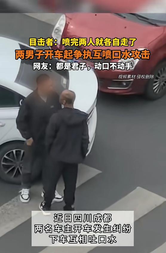 离了个大谱！近日，四川成都，两名男子因开车发生争执，下车后，双方并未大打出手，而