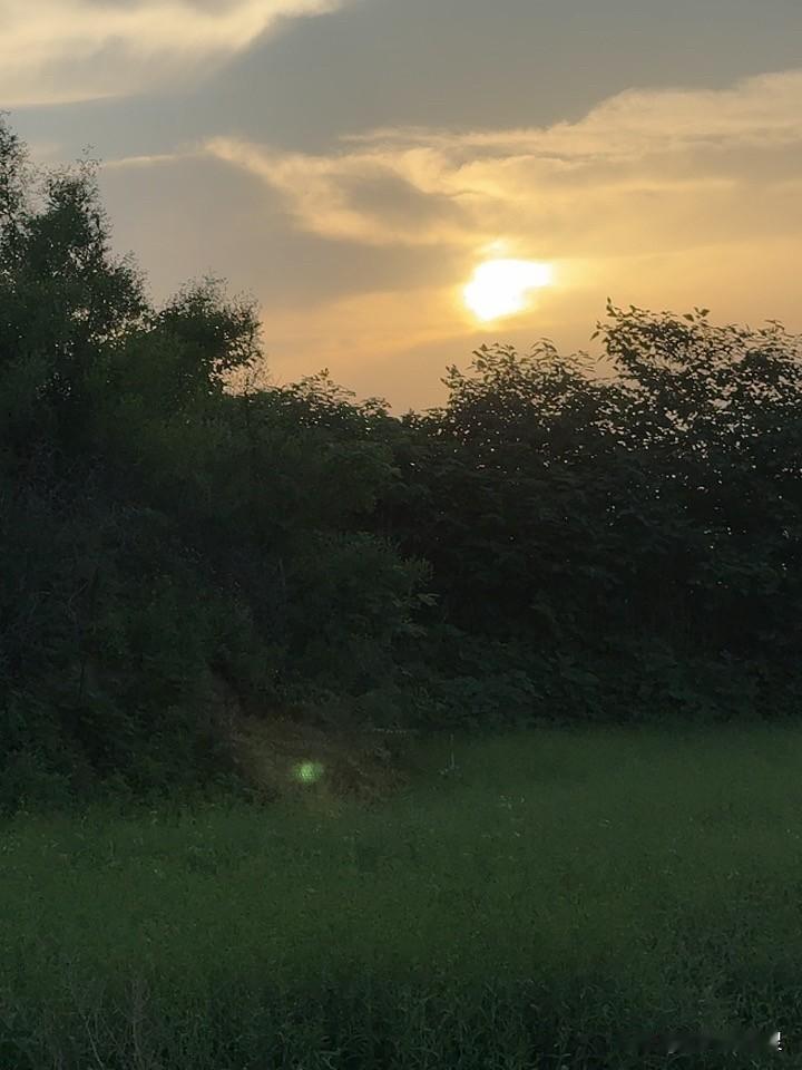 现在的日出真漂亮，上面不是湛蓝的天，但有点云彩，看起来还好看。太漂亮了。大堤上空