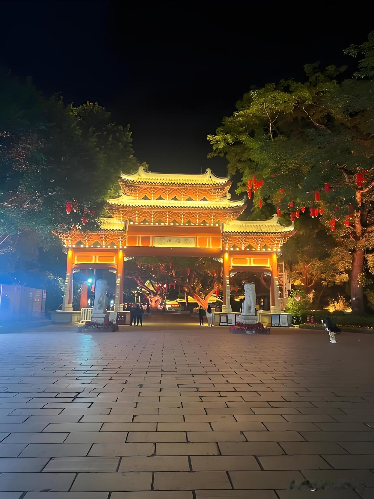 大雪节气，广东惠州完全没有雪，但它的冬天，有自己舒服的模样。

这个时候，西湖边