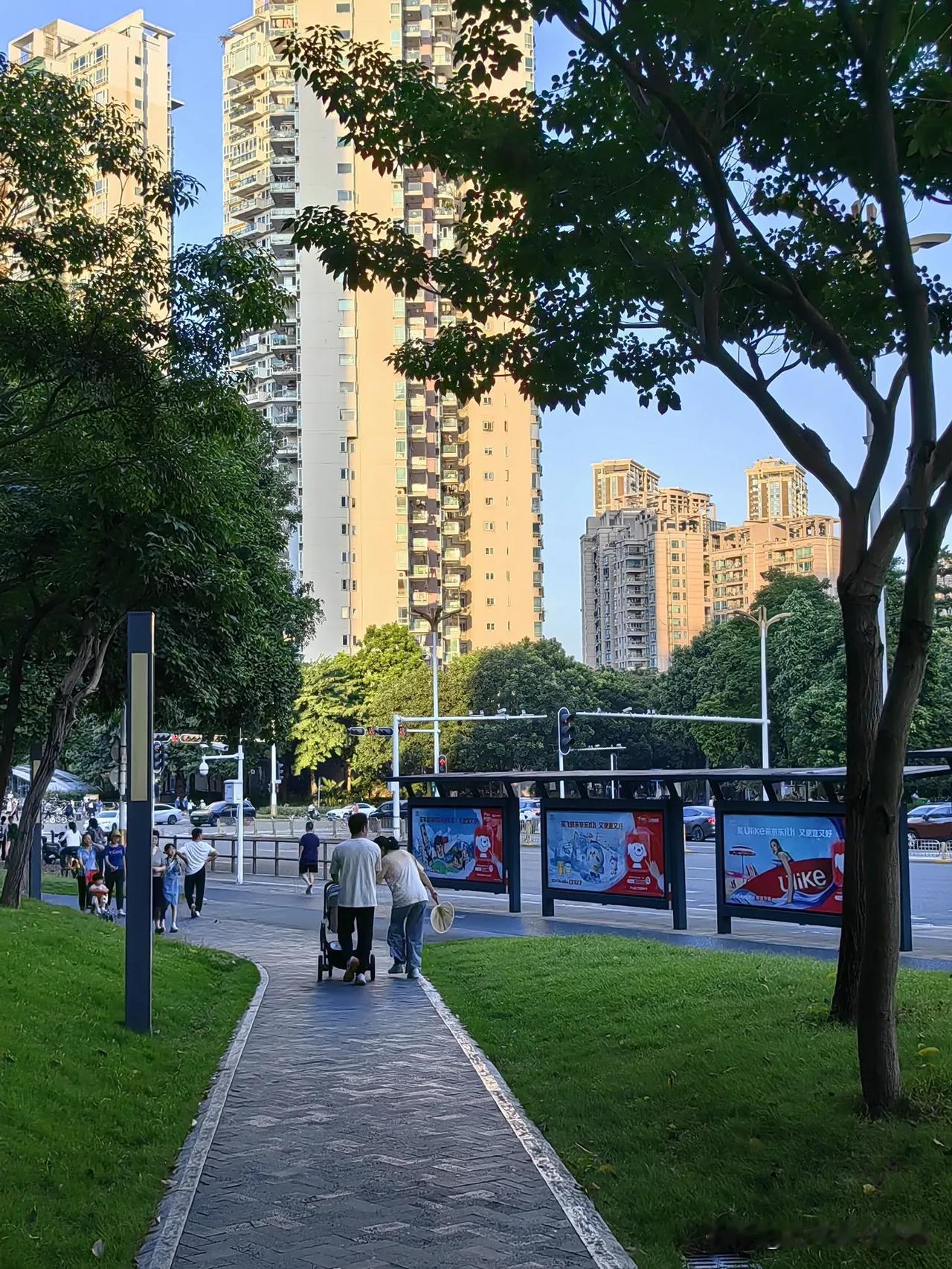 深圳的秋高气爽是这样的。周末傍晚的蓝天真是令人心旷神怡啊！
——随拍于深圳市农林