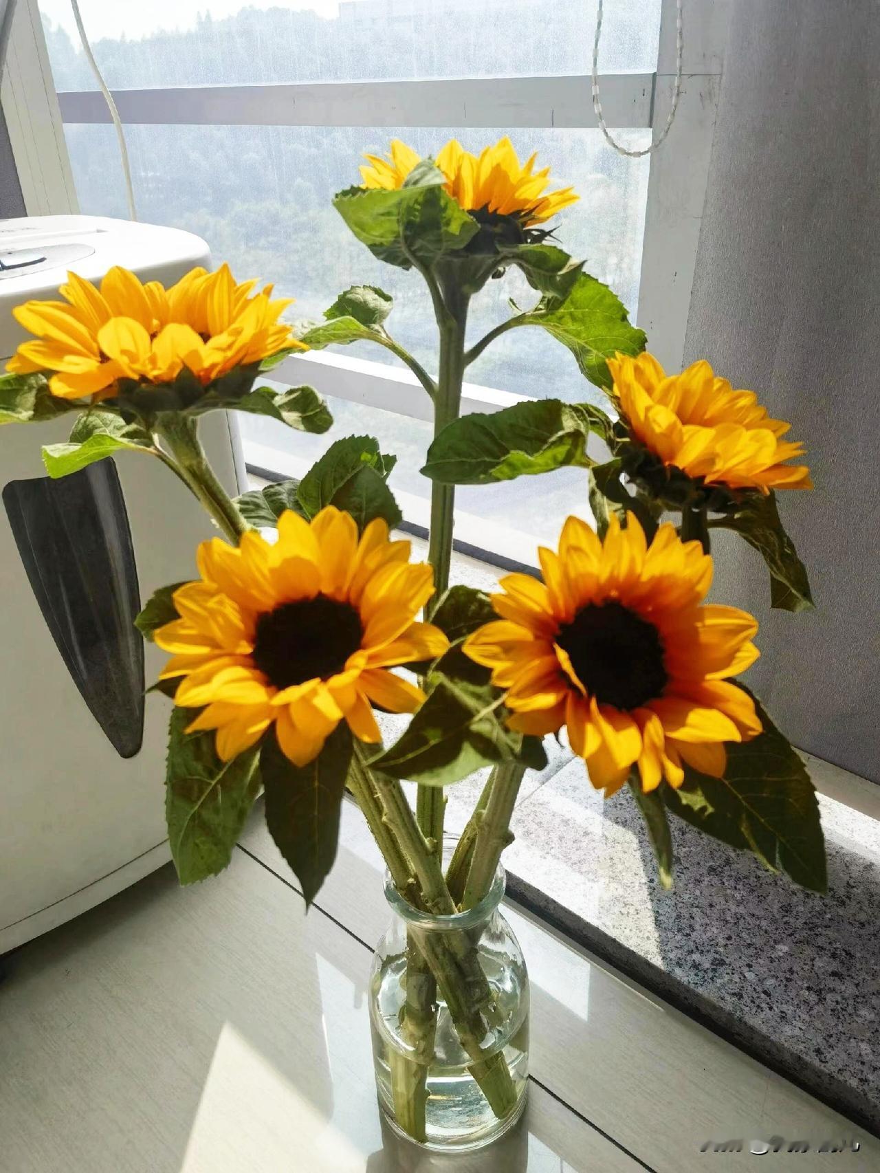 来到世上，被珍爱、被接纳、被安放。
往后余生，哪怕动荡不安，最初的爱，也会犹如苗