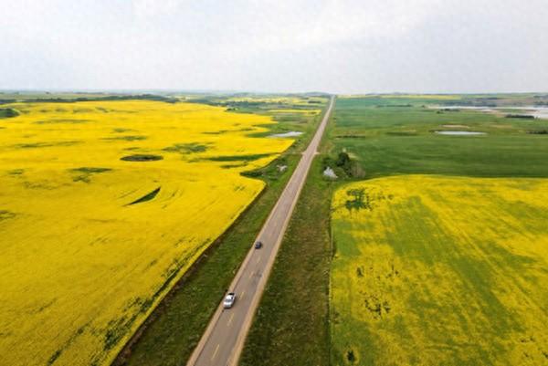 加拿大感谢中国
 
在加拿大总理卡尼访华之后，中国进口商已经至少购入10批加拿大