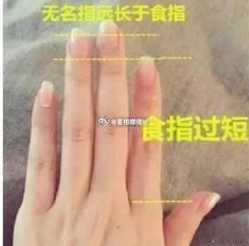食指太短的面相食指太短也暗示着一个人容易被欺负。因为食指太短的人，是一个性格非常