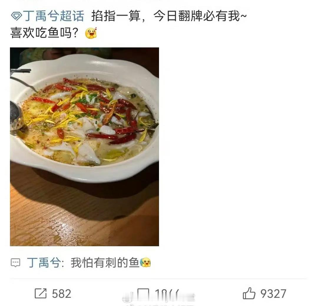 粉丝：喜欢吃鱼吗？丁禹兮：我怕有刺的鱼。这回复怎么了？？？ 