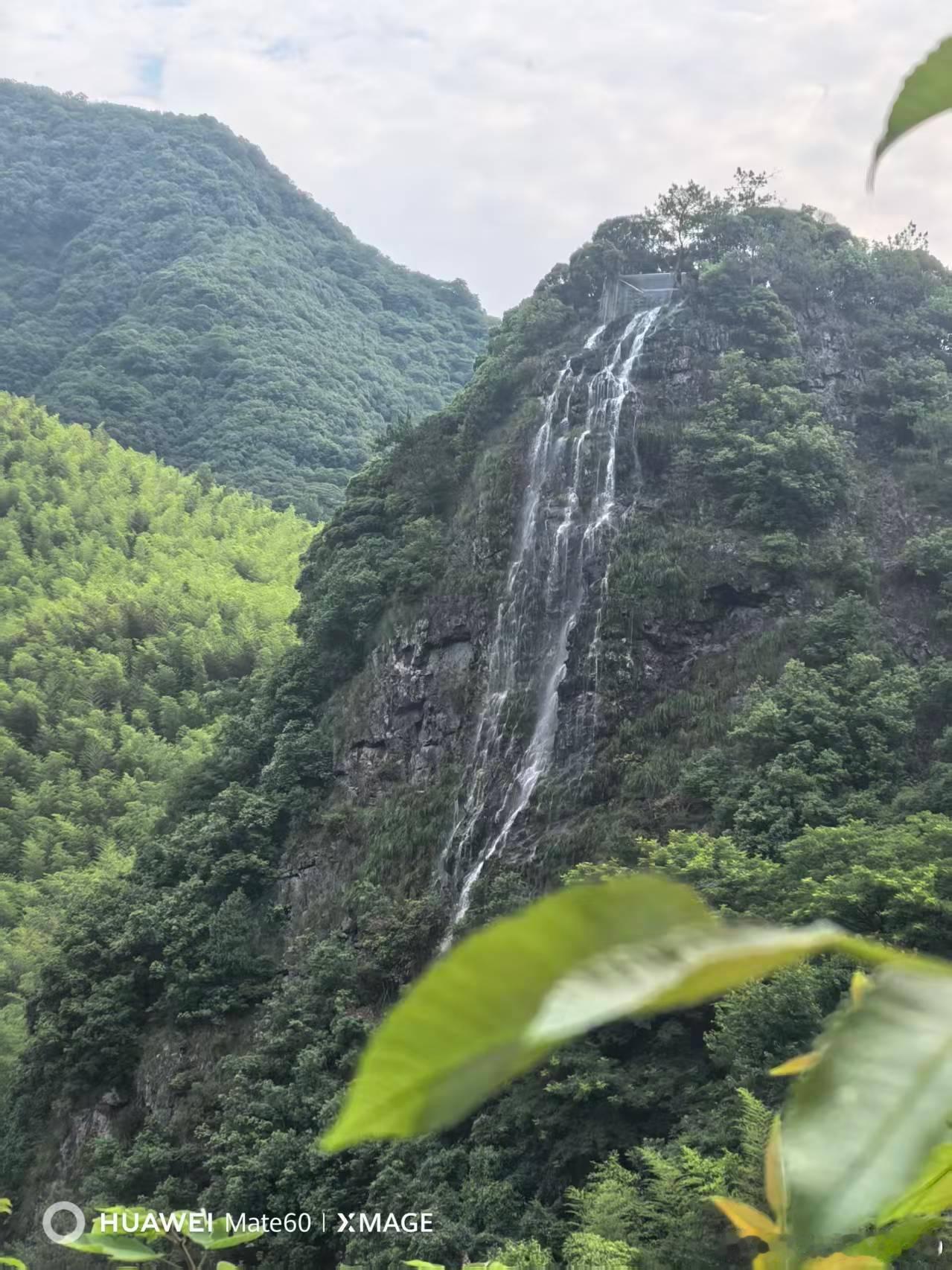 生活手记读书陆游的诗词选（一五五）大圣乐电转雷惊，自叹浮生，四十二年。试思量往事