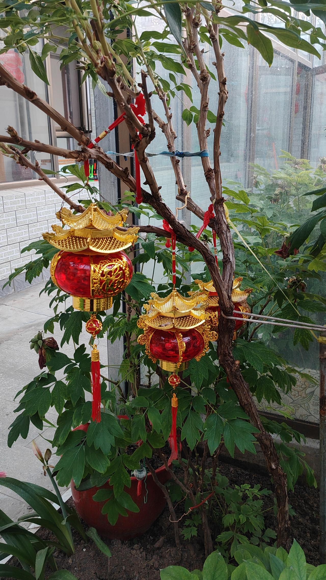 成功的路上

确实不拥挤，因为大部分人都在半路去买奶茶了。很多时候，我们离成功只