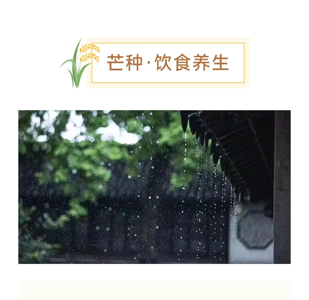 芒种·饮食养生