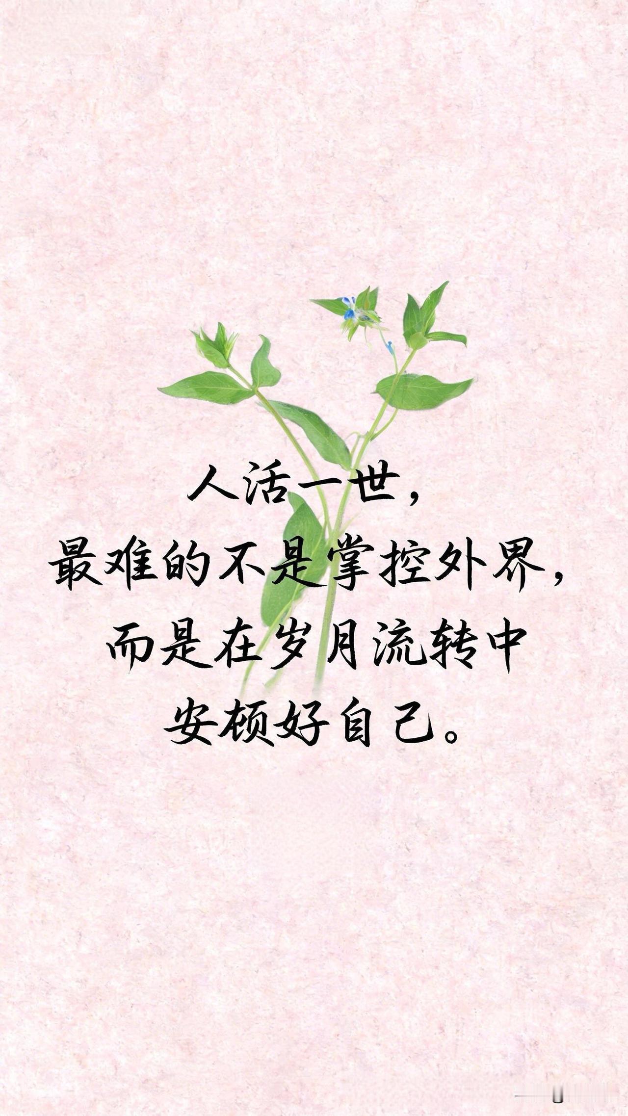 人活一世，最难的不是掌控外界，而是在岁月流转中安顿好自己。[祈祷]年轻的时候，我