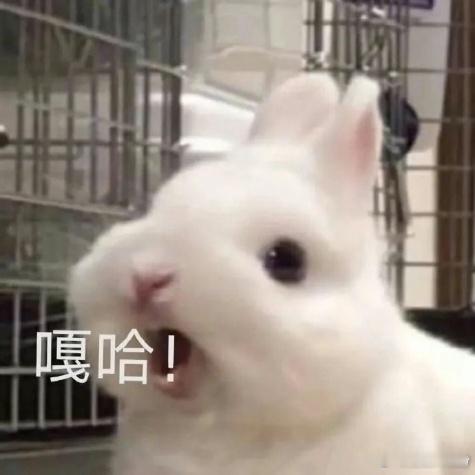 我说的命门一点就破防，颜值不对等不在一条水平线，就是拖后腿的存在，就是影响作品的