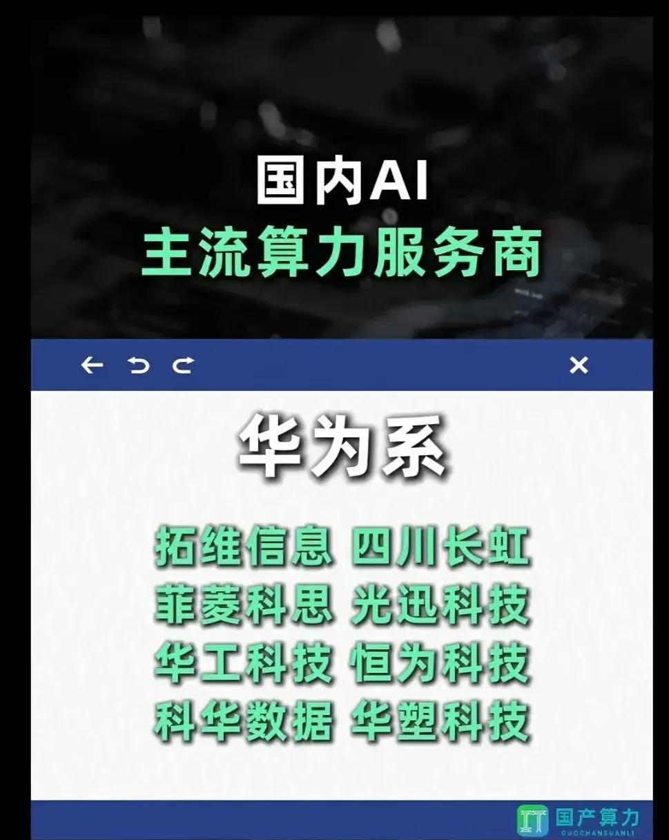 一、国内AI主流算力服务商

1. 华为系

代表企业（共8家）：

- 拓维信