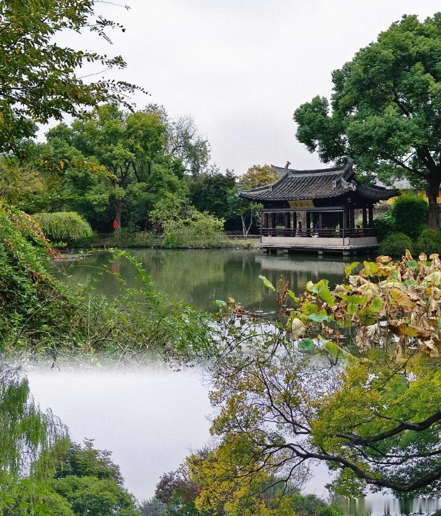 洋洋高锐·沈园·寻梦◎一滴泪、二滴泪、千滴泪滴滴……都在寻幽梦◎荷叶池、蜻蜓飞、