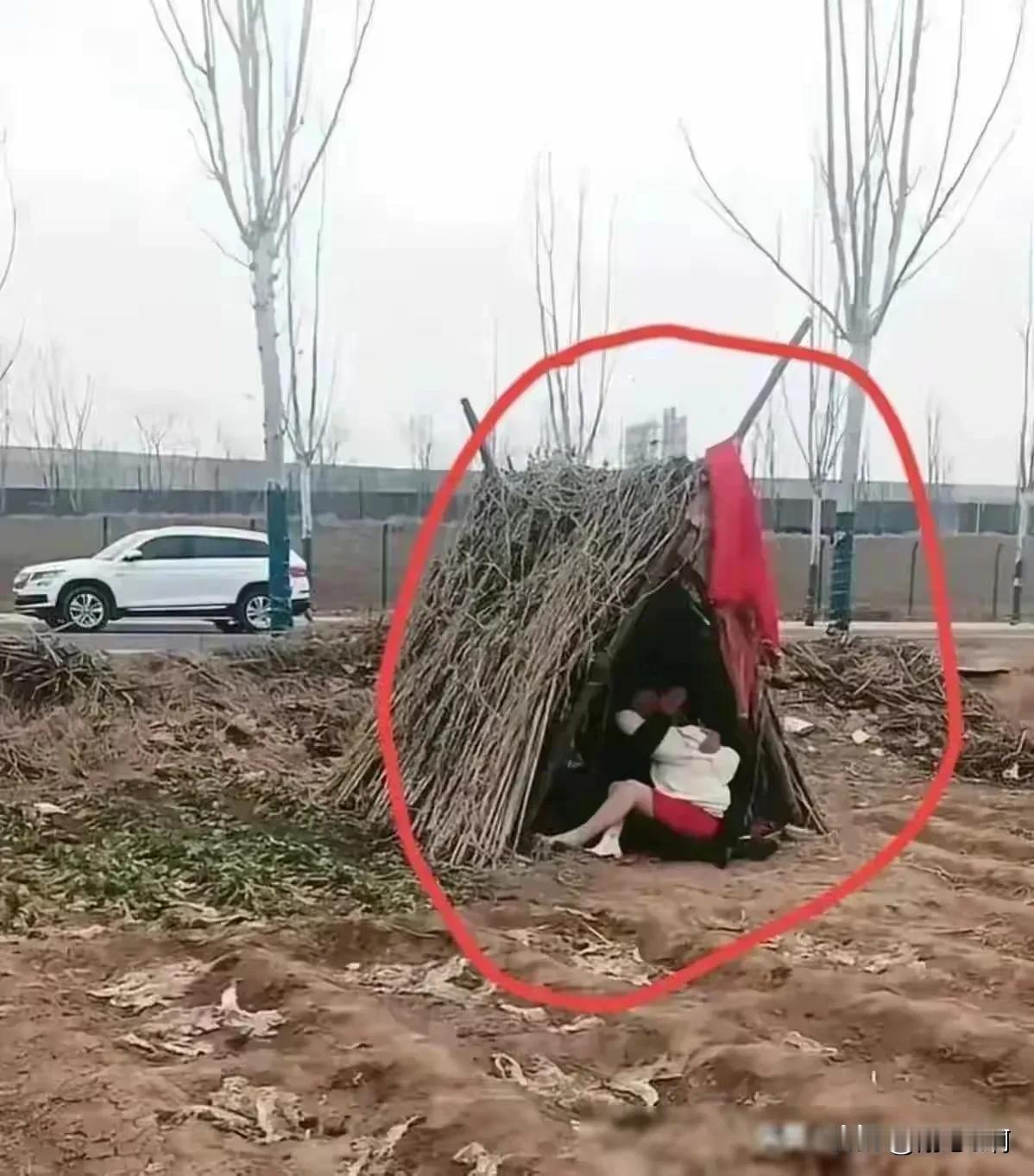 看来这里面是冷得很，需要抱团取暖[大笑][大笑]