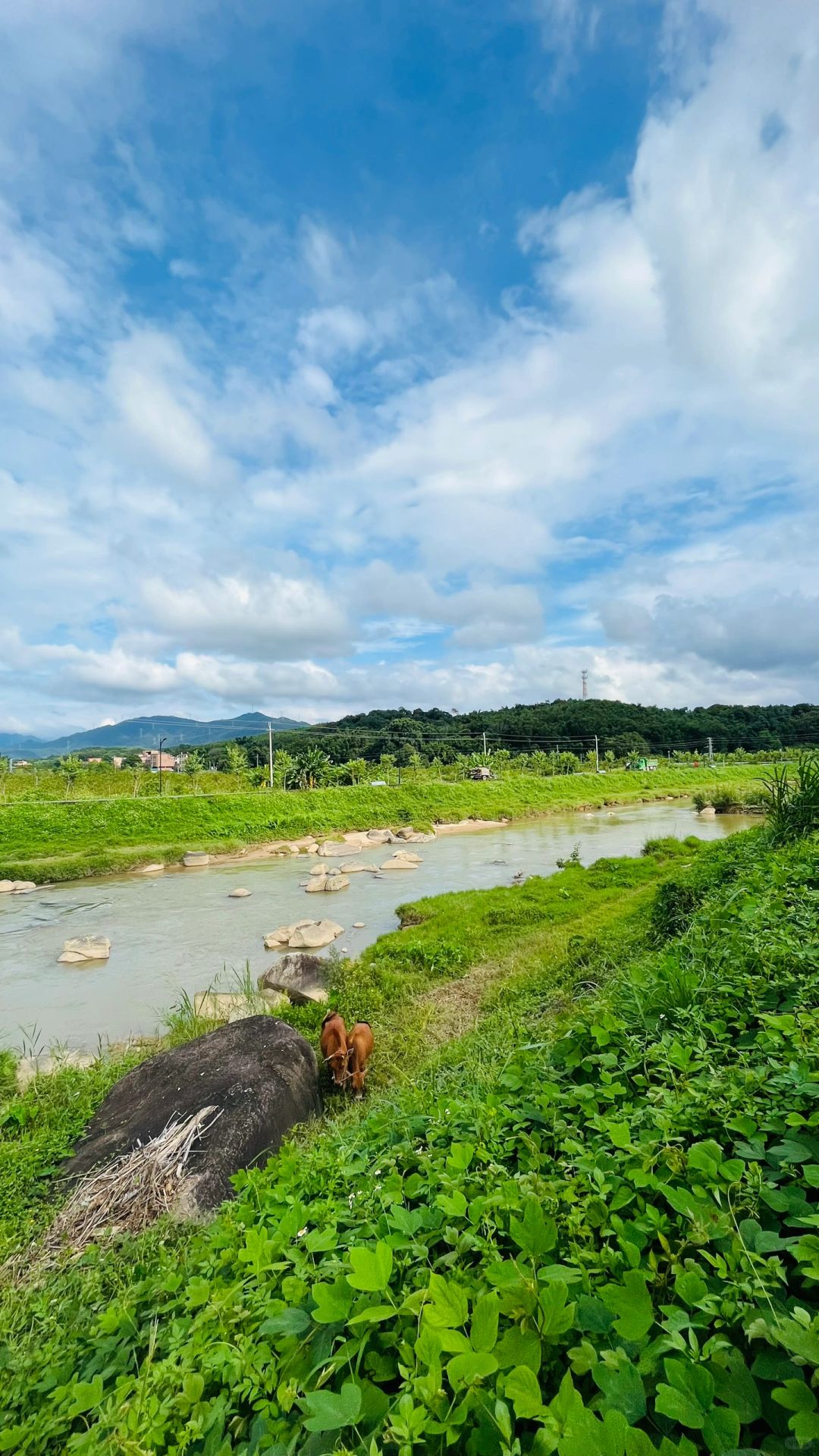 来我家乡玩一天｜清远淳朴的古桥小乡村